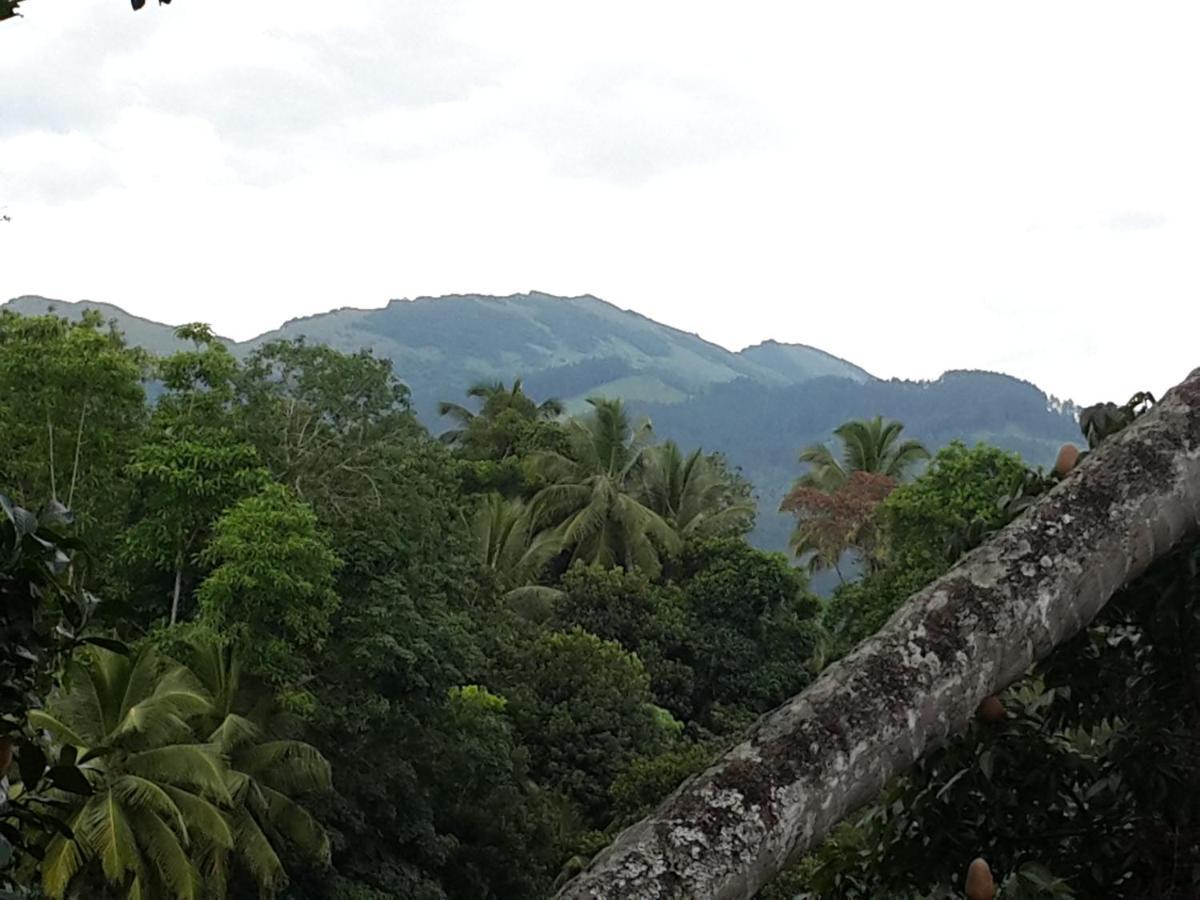 Hanthana View ペラデニヤ エクステリア 写真